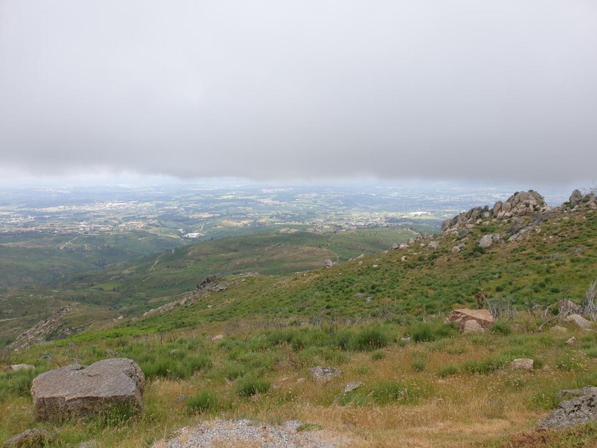 Casa Dos Cisnes - Serra Da Estrela - Sao Paio - Gouveia - Portugal Экстерьер фото